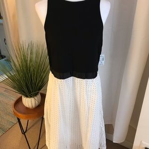 NWT Mixt  Black Halter/White Eyelet Skirt Dress 16